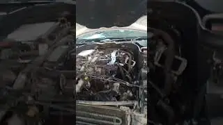 Mercedes c 220 oil cooler change
