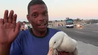 La extraña historia del hombre del pato en el Malecon de la Habana.