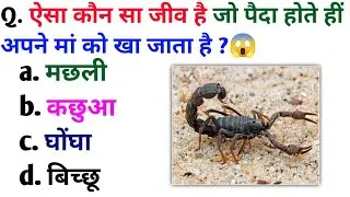 Gk Quiz | Hindi Quiz | GK Quiz question and answers | Gk videos | Golden GK Quiz | Quiz videos |
