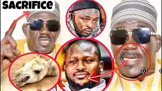 KHADIM NDIAYE EN COLÈRE TRAITE MODOU LO DE TAPETE ET JURE BILAHI SITTEU DALAYE DANE FORCE