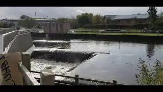 Knostrop Weir - After heavy rain