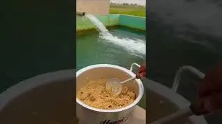 #foryou #pakistanday #foryou #drawingyt #pakistan#vedio #pakistanday #nature #waterpark #august