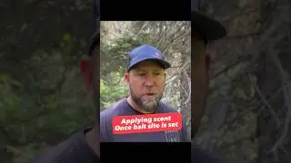 Applying scent once the bait is set.  Learn how to Bait Bears #bearhunting #baitingbears