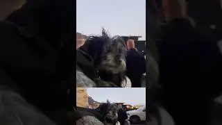 Man reunites with dog after hours separated during California #wildfire
