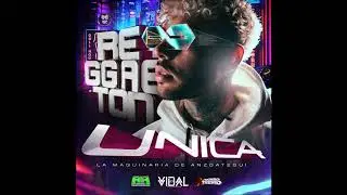 Reggaeton 2020 UNICA Discplay  Dj vidal