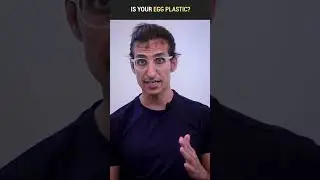 THE SHOCKING TRUTH About Plastic Eggs! 😲😱 | #shorts 590