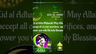 Eid ul azha Mubarak✨#eidmubarak#whowillbemylifepartnerta#trending#eiduladh#shotrs#foryou#viralshorts