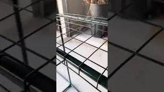 Временные теплицы &mdash; эффективны ли они?