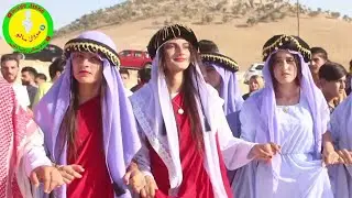 جمايا شيبل قاسم روشا 1