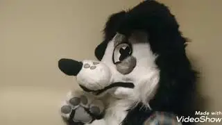 Finneshed Fursuit Head! SOLD.