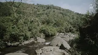 8 Hours ASMR Meditation Ambience [Strong River Stream ASMR] No Talking, Deep Relaxation ASMR