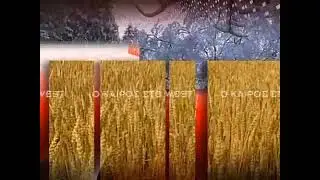 WEST Channel &Kappa;&omicron;&zeta;ά&nu;&eta; - Weather Ident (2012-2013) [16:9]