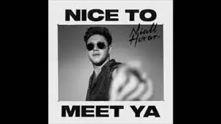 Nice To Meet Ya Instrumental by Dylan Rice