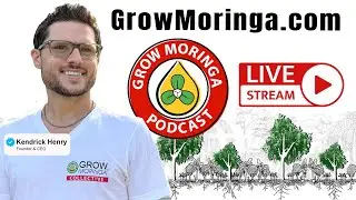 Sold Out! 25 Bags of Fresh Moringa Greens at The Farmers Market | Grow Moringa Podcast Ep.70