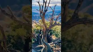 Best Mountain Views in the desert #epicviews #mountains #amazingview #travelguide #desertview #fyp