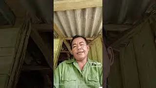 Hay lắm c&aacute;c bạn ơi @