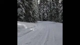 Moose vs Snowmobile