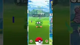 Pok&eacute;mon enthusiasts are thrilled about the upcoming 