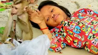 Baby monkey Axel has new friends, Pretty little girl gentle groomed baby Axel