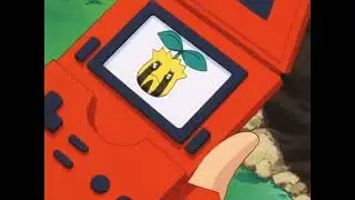Sunkern Pok&eacute;dex Entry..wmv