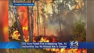 Crews Battle Large Forest Fire In Burlington County
