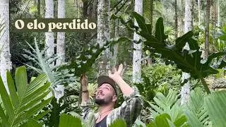 O elo perdido: um dos mais antigos colecionadores de plantas
