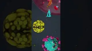 HoW OmICRON ACTUALLY Kills? MutATION 3D ANIMATION || PART5 #3danimation#virus #cellanimation #corona