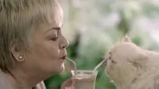 Mi Claro - S&eacute; como un gato