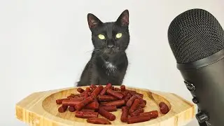 Cat eating Tuna Mini Stick ASMR