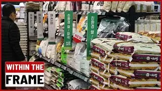 S. Koreans eating less rice, looking into revising Grain Management Act