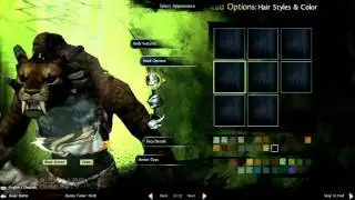 Guild Wars 2 - Fan Made Beta Trailer!