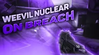 WEEVIL NUCLEAR ON BREACH