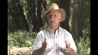 CERDO el Destete de Lechones,