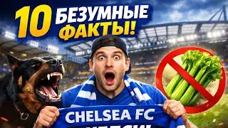 10 БЕЗУМНЫХ ФАКТОВ О ЧЕЛСИ! От укуса собаки до запрещенного сельдерея
