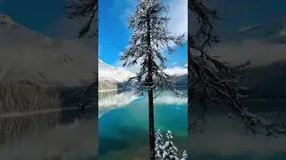 Calgary is underrated 🫢😭 #travel #canadadream