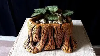 Tree Stump Pot Made from Cement | Creative Pot Idea