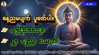 နေ့ညမပျက် ပူဇော်ပါ။ပဋ္ဌာန်းဒေသနာ၂၄ ပစ္စည်း အကျယ် #buddhadhamma