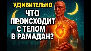 Почему МУСУЛЬМАНЕ держат ПОСТ? Удивительные факты о теле человека! #коран #ислам