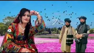 نذیرمحمد سیدگئ نیک بادشاہ زدران 2021