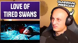 Beautiful... 'LOVE OF TIRED SWANS' - DIMASH | classical musician reaction & analysis