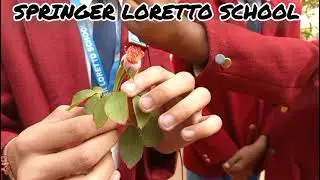 Different parts of a Stem of a flower explanation 