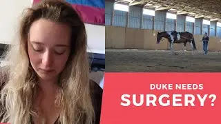 My Horse Needs Kissing Spine Surgery?