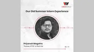 Transformative Experience: An Engineer's Journey at the 45-Day Summer Industrial Training Program