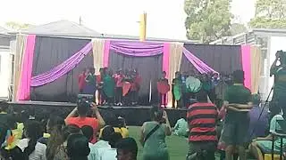 Community language performance