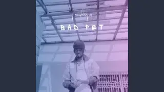 Bad Pet