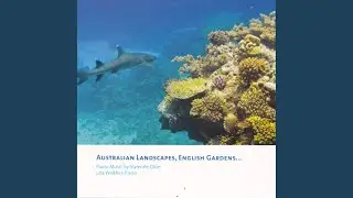 The Dream Gardens: The Multilevel Garden