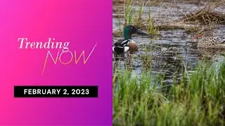 Raising awareness for protecting and conserving global wetlands