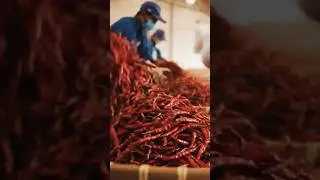 BJT Cold Storage: Menjaga Mutu Cabai Gudang Suhu Presisi #cabaimerahkeriting #pendinginindustri