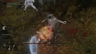 Elden Ring Black Knife Assassin Dragonbolt Blessing test