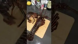 Surf and Turf catch and cook🦞 Shoutout Newport Mike for the lobster #cooking #steak #lobster